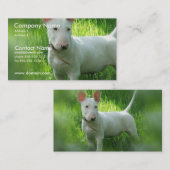 Bull Terrier Visitekaartje (Voorkant / Achterkant)