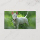 Bull Terrier Visitekaartje (Achterkant)
