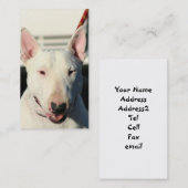 Bull Terrier Visitekaartjes (Voorkant / Achterkant)