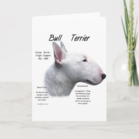 Bull Terrier (wht) Geschiedenisontwerp Feestdagen Kaart (Voorkant)