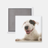 Bull Terriers Magneet (Voorkant / Achterkant)