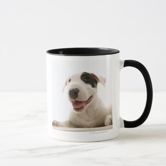 Bull Terriers Mok (Rechts)