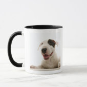 Bull Terriers Mok (Links)