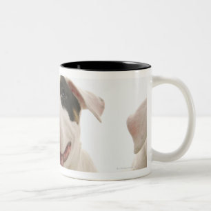 Bull Terriers Tweekleurige Koffiemok