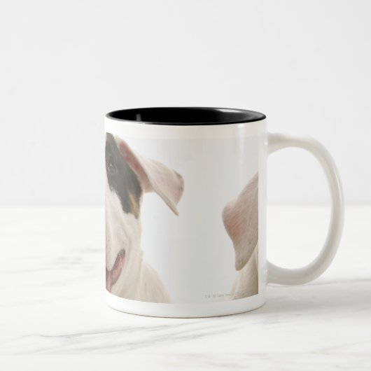 Bull Terriers Tweekleurige Koffiemok (Rechts)