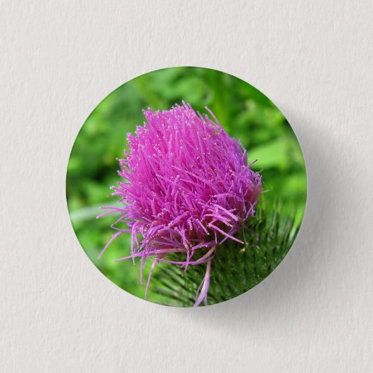 Bull Thistle Button (Voorkant)