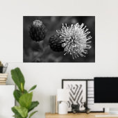 Bull Thistle Poster (Thuiskantoor)