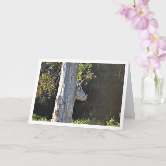 Bull Tree in Valencia, Spanje, Spaans Kaart (Orchidee)