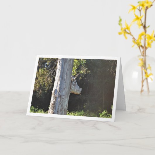 Bull Tree in Valencia, Spanje, Spaans Kaart (Gele Bloem)