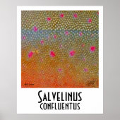 Bull Trout Poster (Voorkant)