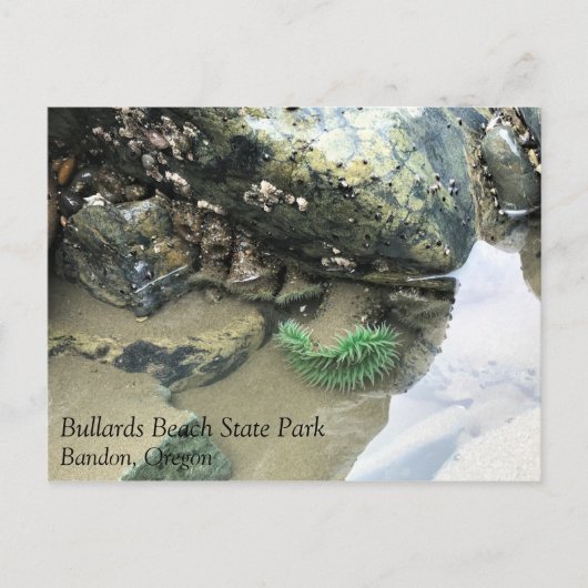 Bullards Beach State Park, Bandon, Oregon Briefkaart (Voorkant)
