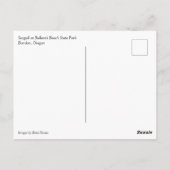 Bullards Beach State Park, Bandon, Oregon Briefkaart (Achterkant)