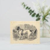  Bulldog 1800s Bull Dog Illustration - Dogs Briefkaart (Staand voorkant)