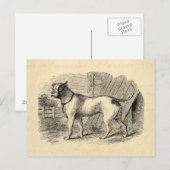  Bulldog 1800s Bull Dog Illustration - Dogs Briefkaart (Voorkant / Achterkant)