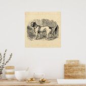 Bulldog 1800s Bull Dog Illustration - Dogs Poster (Keuken)