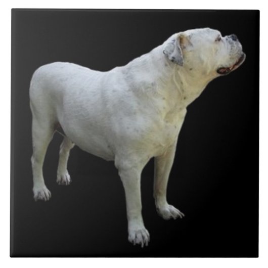 BULLDOG 1, Pet Love, Best Friend KEEPSAKE Tegeltje (Voorkant)