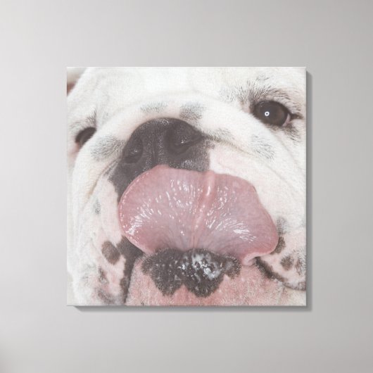 Bulldog 2 canvas afdruk (Voorkant)