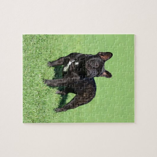 Bulldog 2 legpuzzel (Horizontaal)