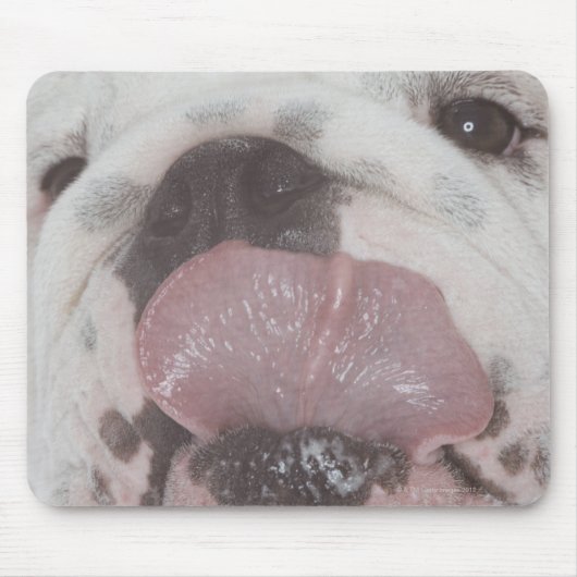 Bulldog 2 muismat (Voorkant)