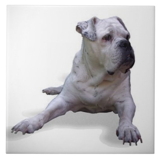 BULLDOG 2, Pet Love, Best Friend KEEPSAKE Tegeltje (Voorkant)