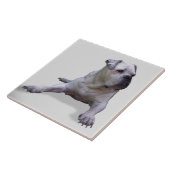 BULLDOG 2, Pet Love, Best Friend KEEPSAKE Tegeltje (Zijkant)