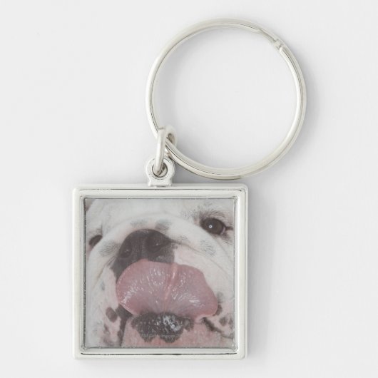 Bulldog 2 sleutelhanger (Voorkant)
