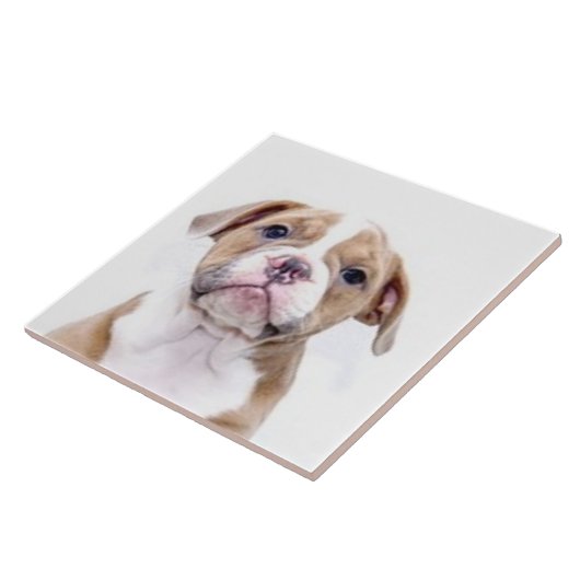 BULLDOG 5, Pet Love, Best Friend KEEPSAKE Tegeltje (Zijkant)