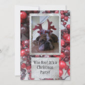 Bulldog als rendierkerstfeest Uitnodigingen (Voorkant)
