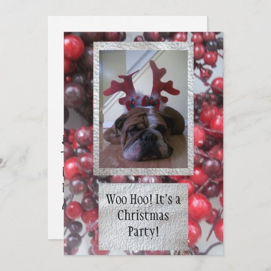 Bulldog als rendierkerstfeest Uitnodigingen (Voorkant / Achterkant)