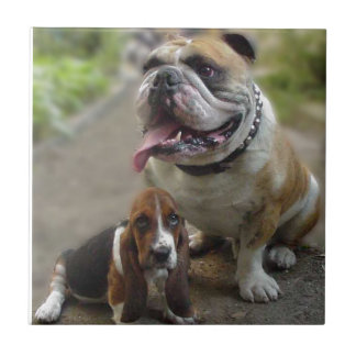 Bulldog & BabyBassett - Be aware of my best friend Tegeltje