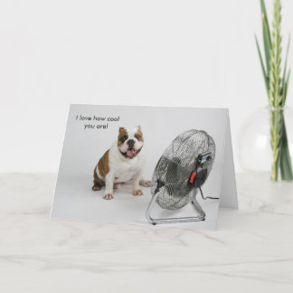 Bulldog Birthday card Kaart