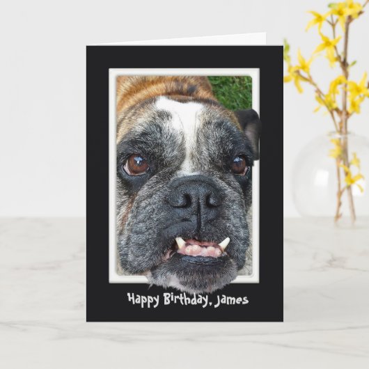 Bulldog Birthday Kaart (Gele Bloem)