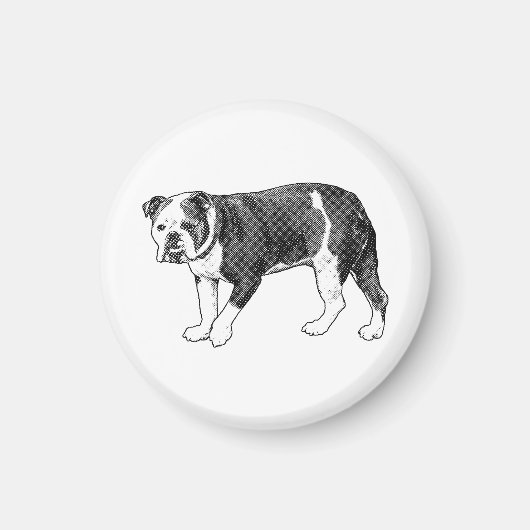 Bulldog Blik, Manga Stip Magneet (Voorkant)