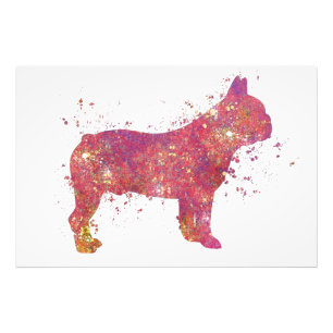 Bulldog Bouledogue Français Animal Chien Domestiqu Foto Afdruk