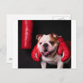 Bulldog Boxer Briefkaart (Voorkant / Achterkant)