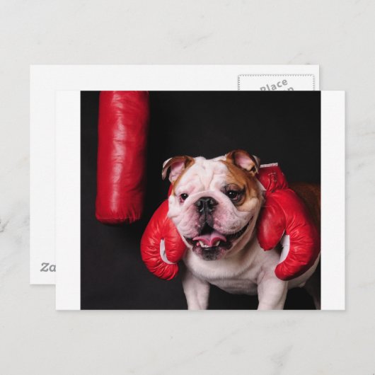 Bulldog Boxer Briefkaart (Voorkant / Achterkant)