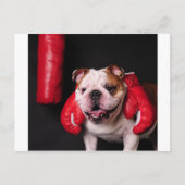 Bulldog Boxer Briefkaart (Voorkant)