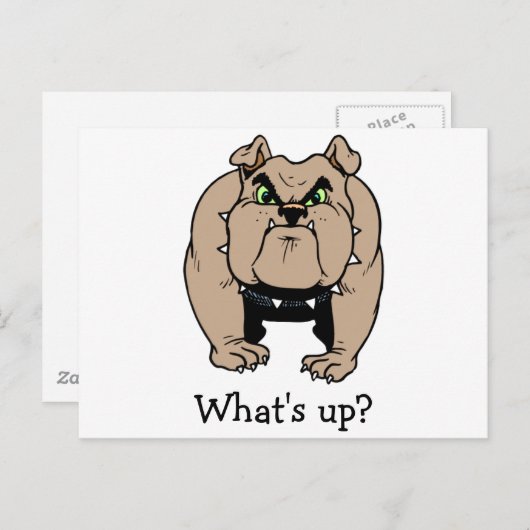Bulldog Briefkaart (Voorkant / Achterkant)