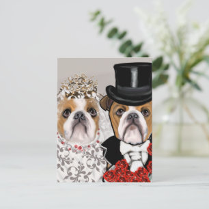 Bulldog           briefkaart