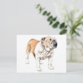 Bulldog Briefkaart (Staand voorkant)