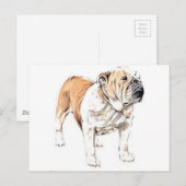 Bulldog Briefkaart (Voorkant / Achterkant)