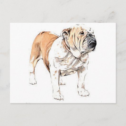 Bulldog Briefkaart (Voorkant)