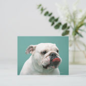 Bulldog Briefkaart (Staand voorkant)