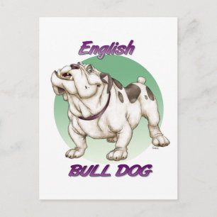 bulldog briefkaart