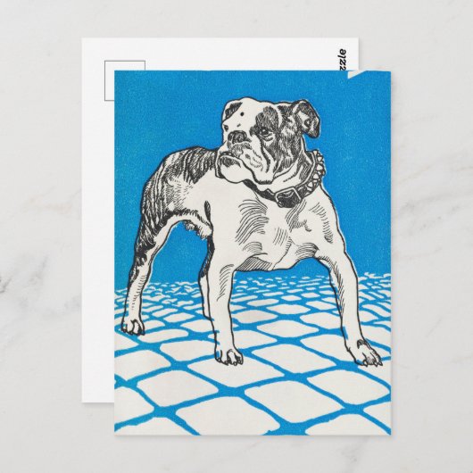  Bulldog Briefkaart (Voorkant / Achterkant)