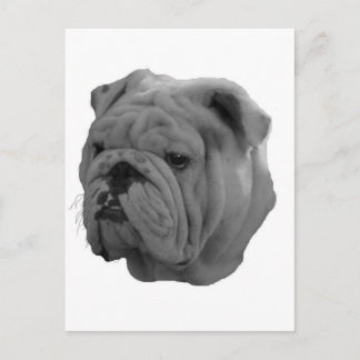 Bulldog Briefkaart