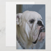 bulldog briefpapier (Voorkant / Achterkant)
