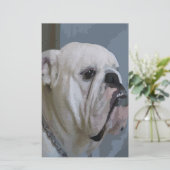 bulldog briefpapier (Staand voorkant)