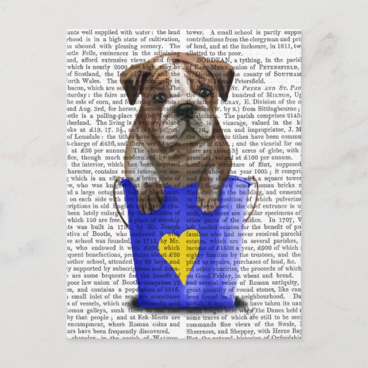 Bulldog Bucket of Love Blue Briefkaart (Voorkant)