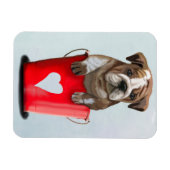 Bulldog Bucket of Love Red 2 Magneet (Horizontaal)